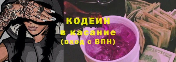 прущие крисы Вяземский