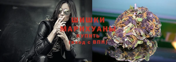 прущие крисы Вяземский