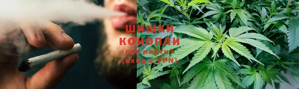 прущие крисы Вяземский
