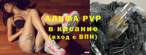 прущие крисы Вяземский